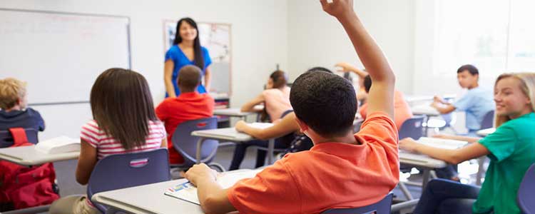 Child Raising Hand in Classroom