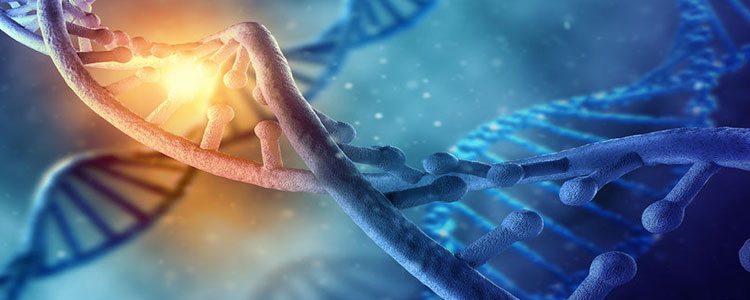 Silent Witness DNA