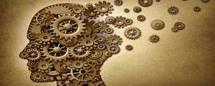 Brain Made of Cogs