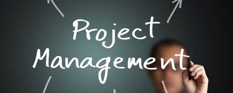 International Project Management Day Top Project Management Tips 